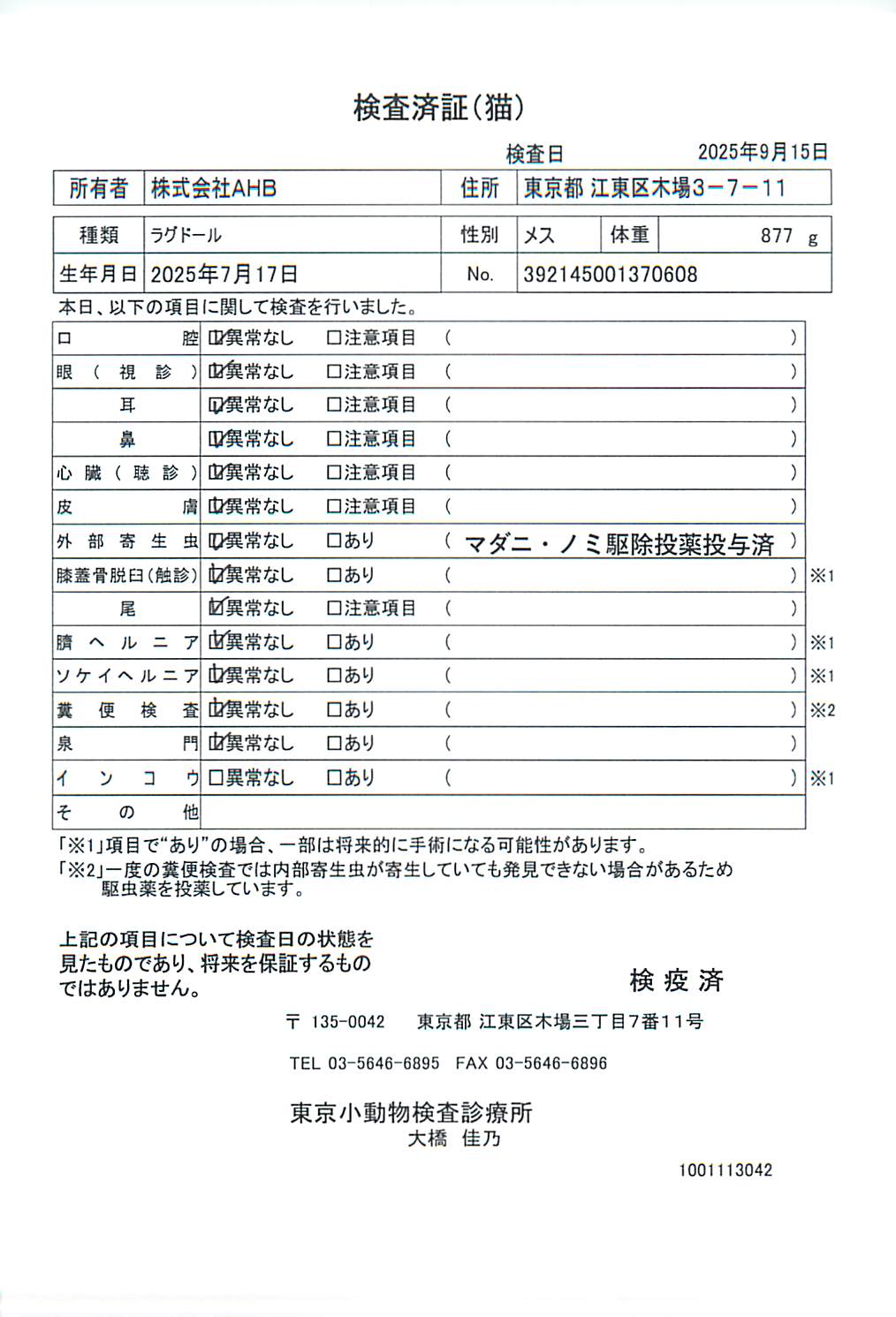 ラグドール