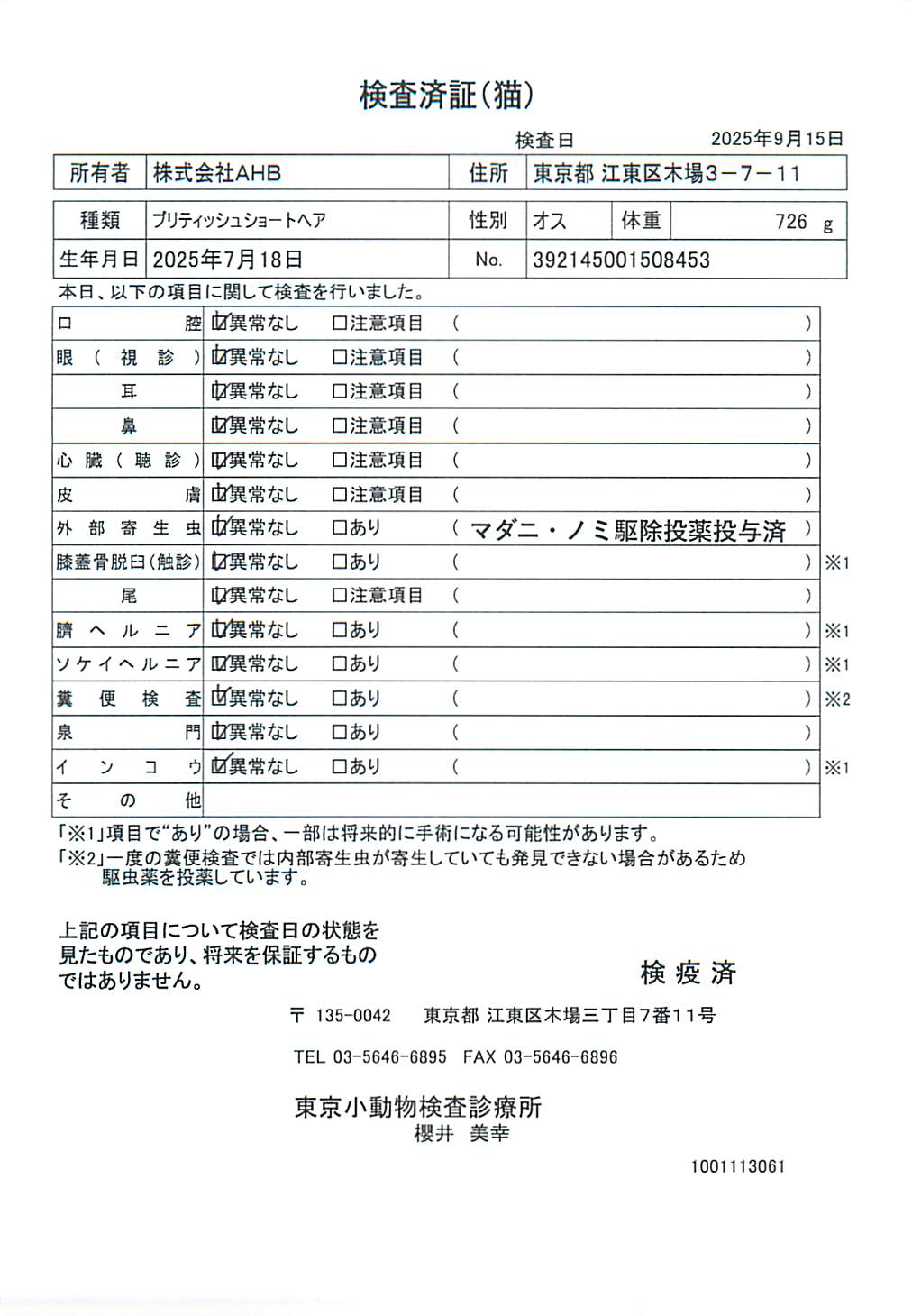 ブリティッシュショートヘア