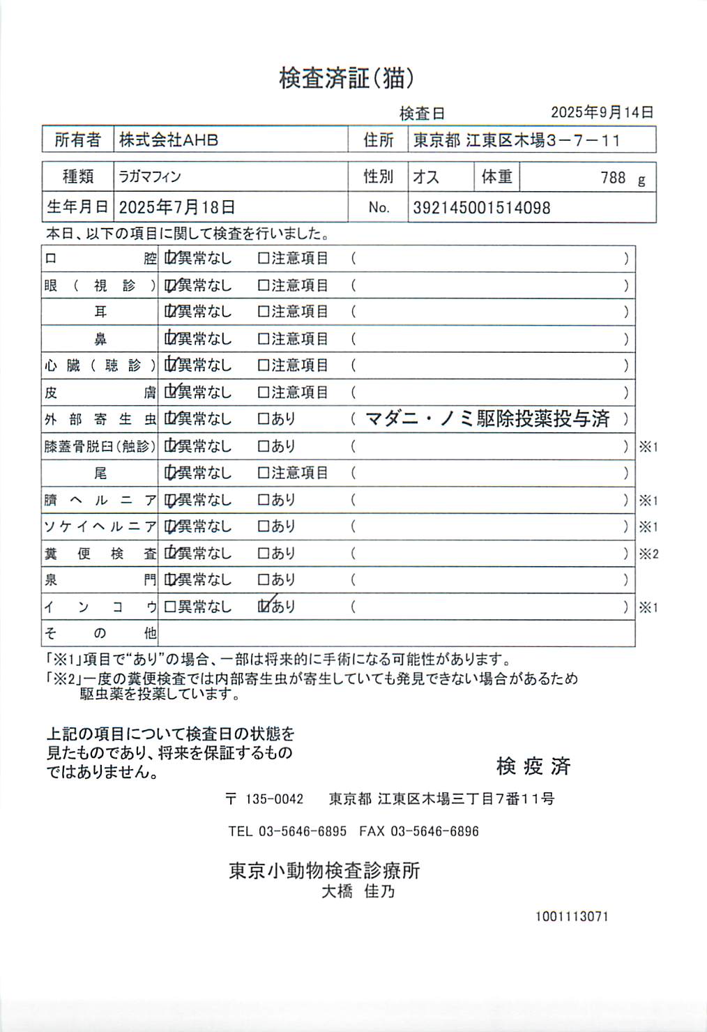 ラガマフィン