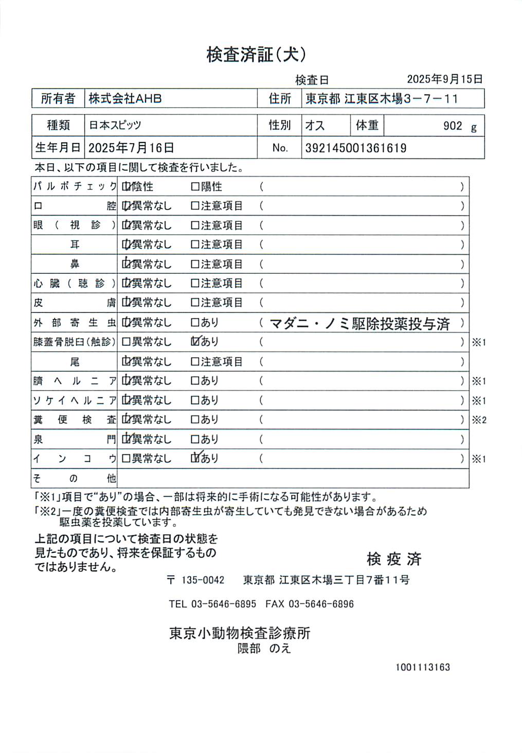 日本スピッツ