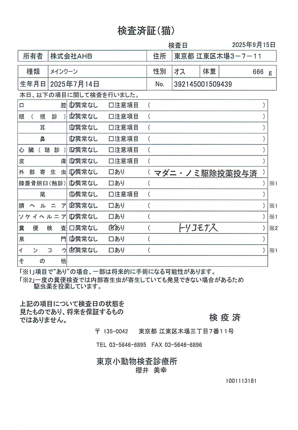 メインクーン