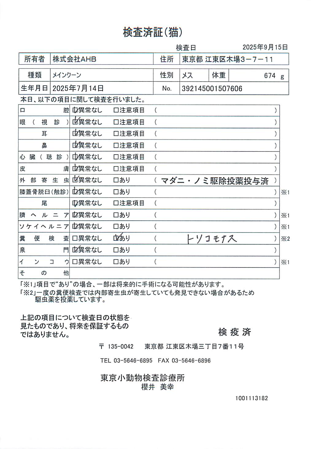 メインクーン