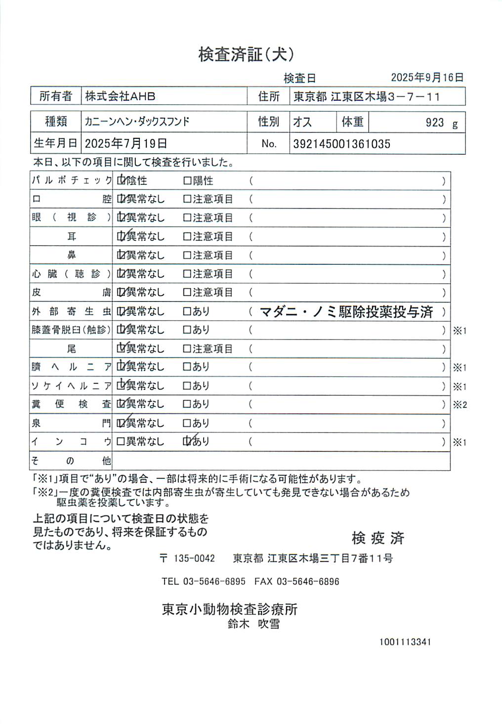 カニーンヘン・ダックスフンド