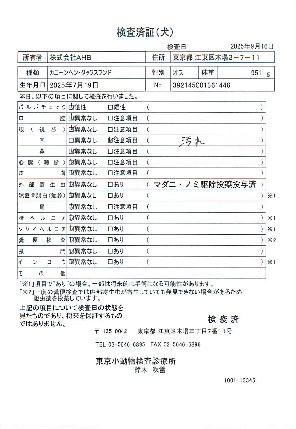 カニーンヘン・ダックスフンド