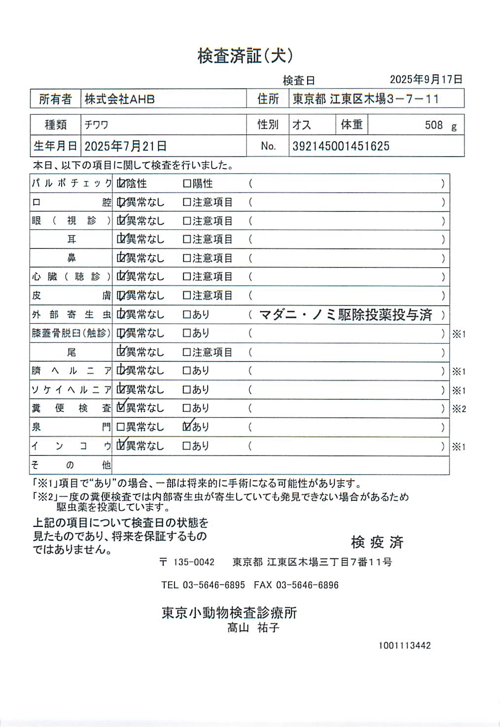 チワワ