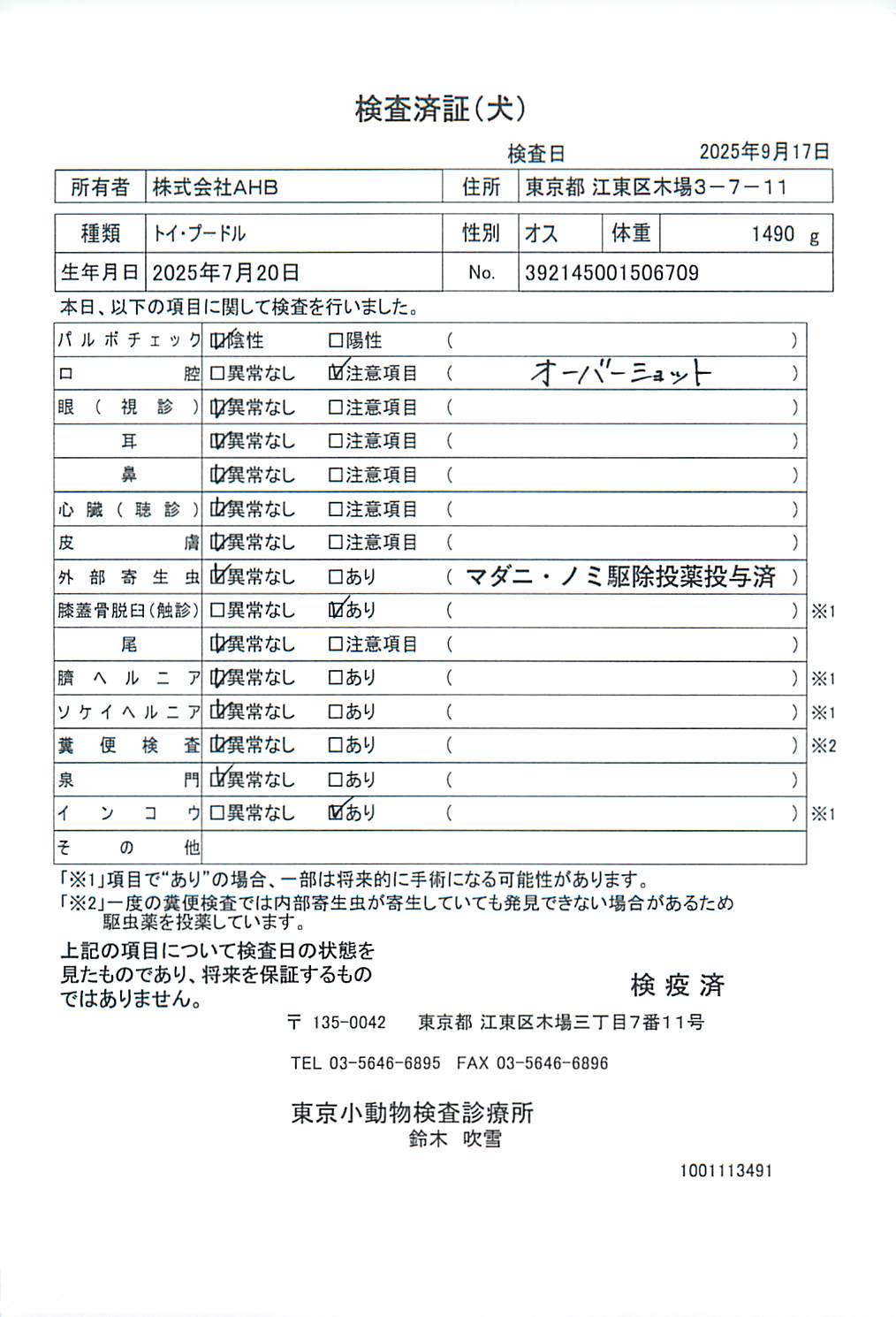 トイ・プードル