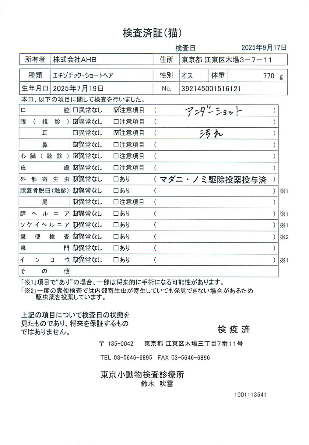 エキゾチック・ショートヘア