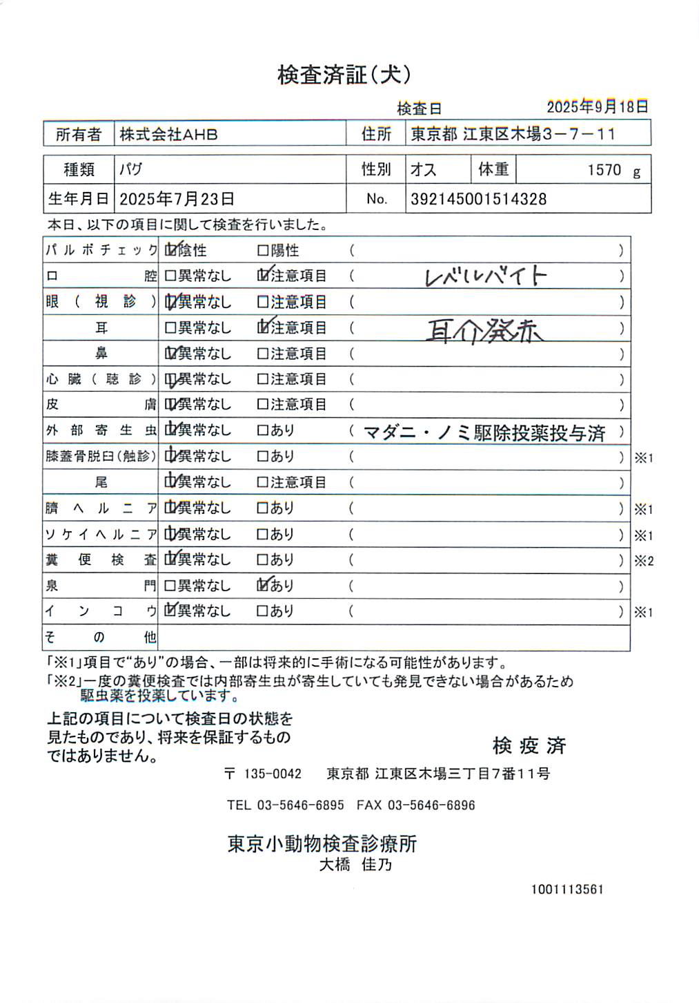 パグ