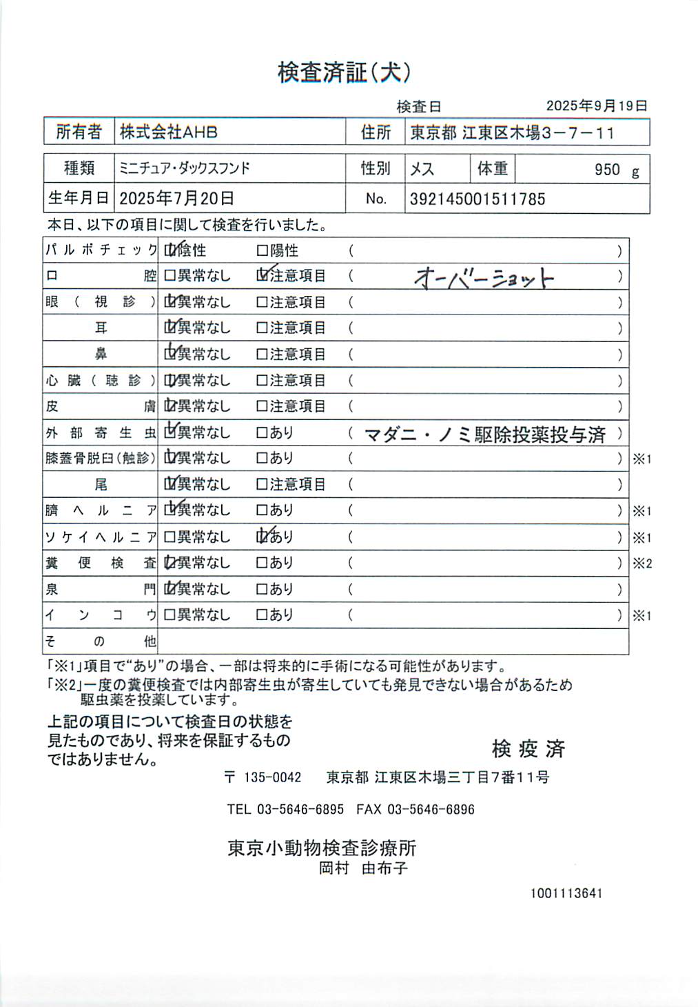 ミニチュア・ダックスフンド