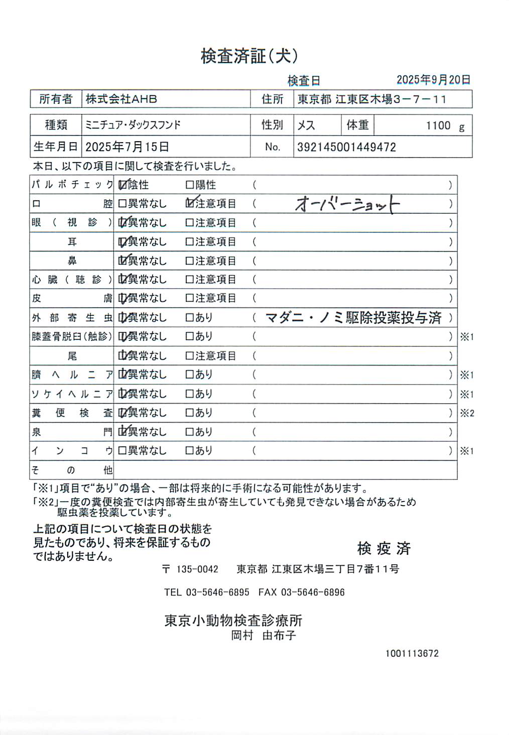 ミニチュア・ダックスフンド
