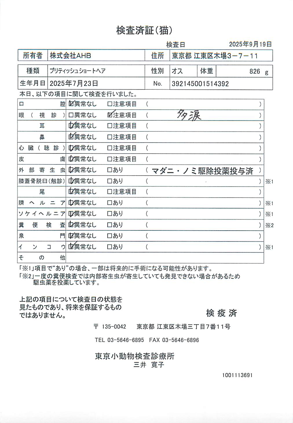 ブリティッシュショートヘア