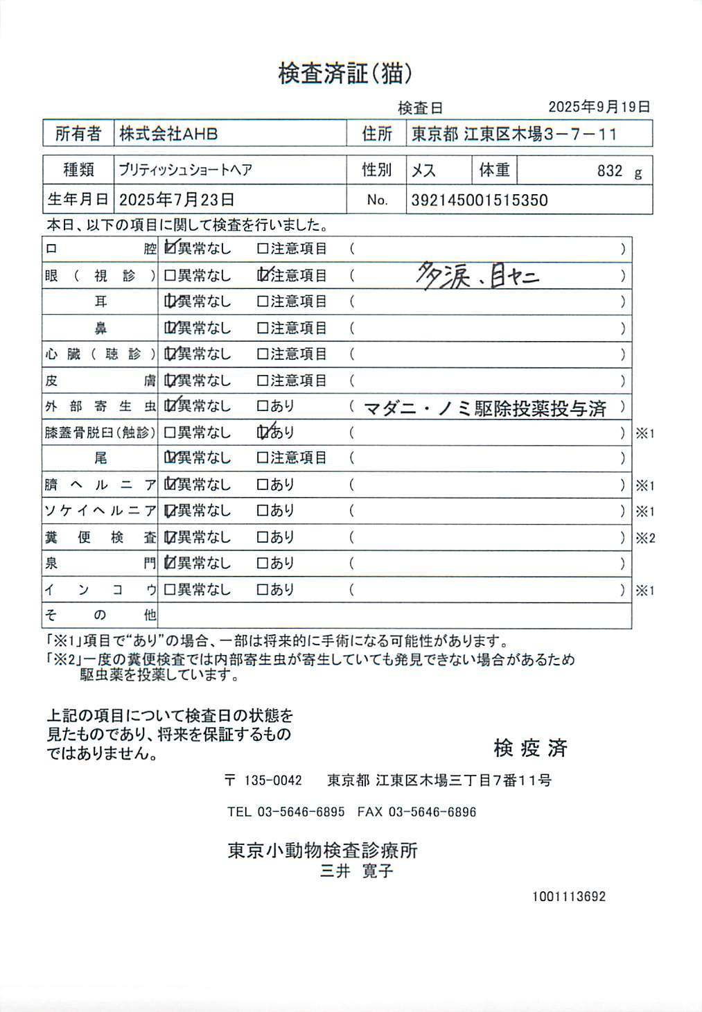ブリティッシュショートヘア