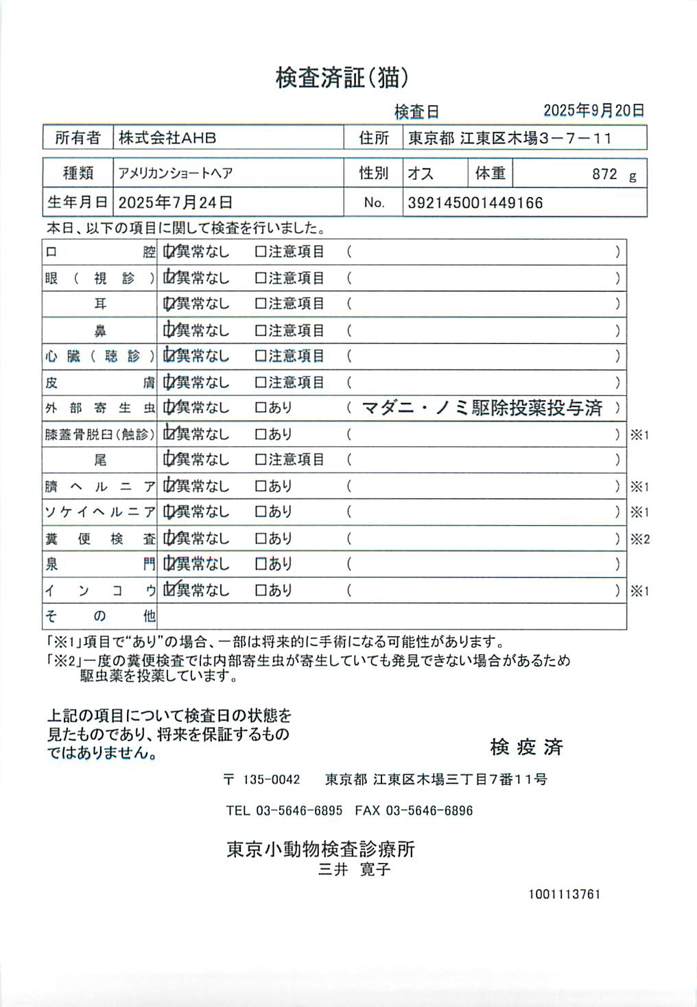 アメリカンショートヘア