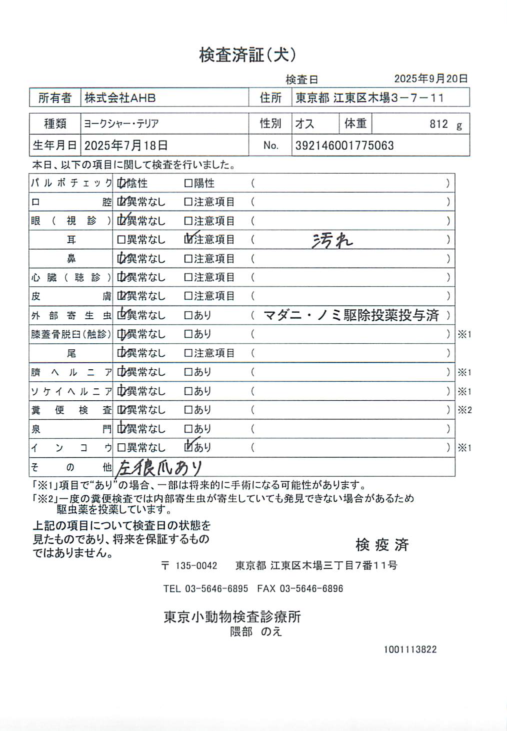 ヨークシャー・テリア
