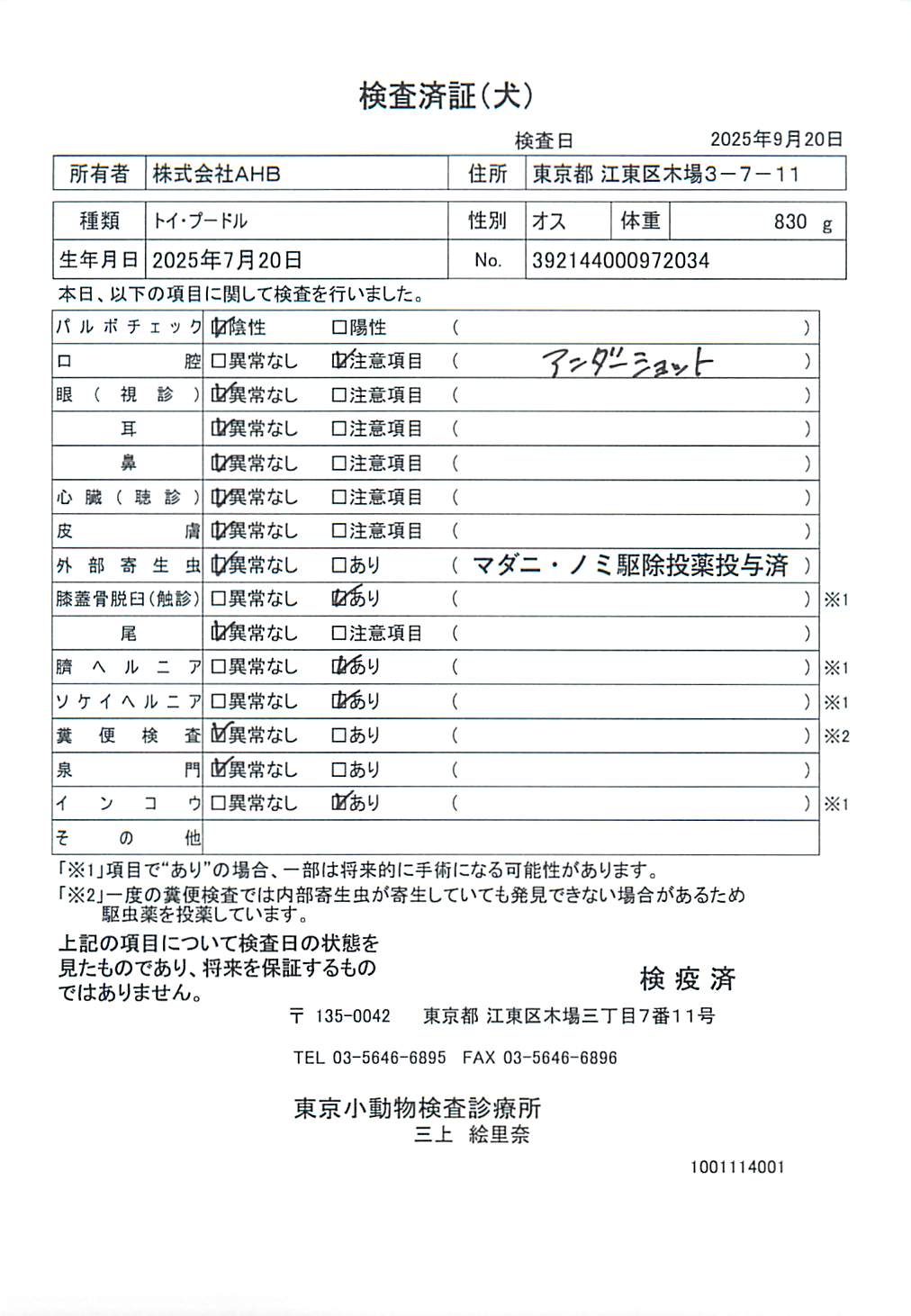 トイ・プードル