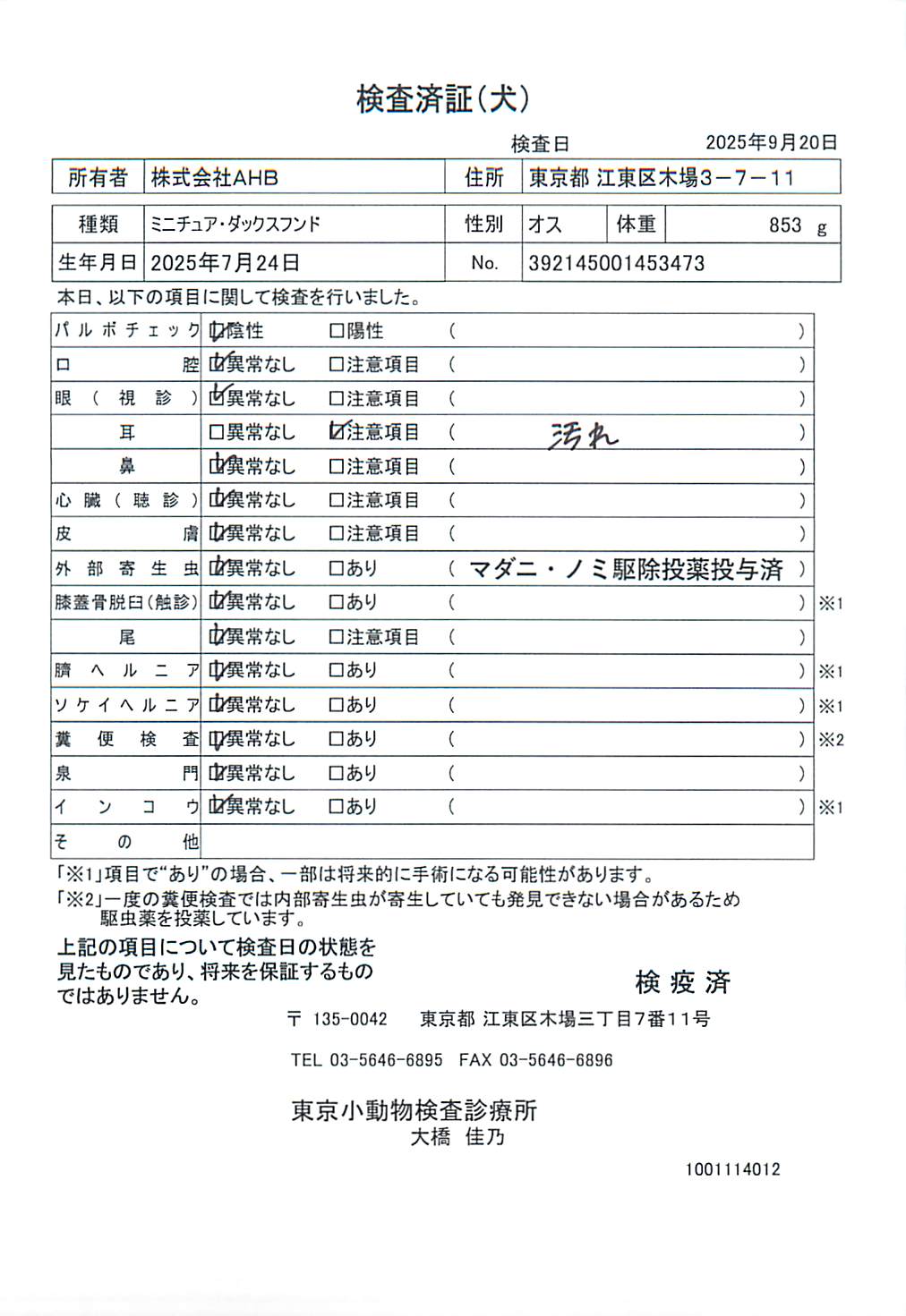 ミニチュア・ダックスフンド