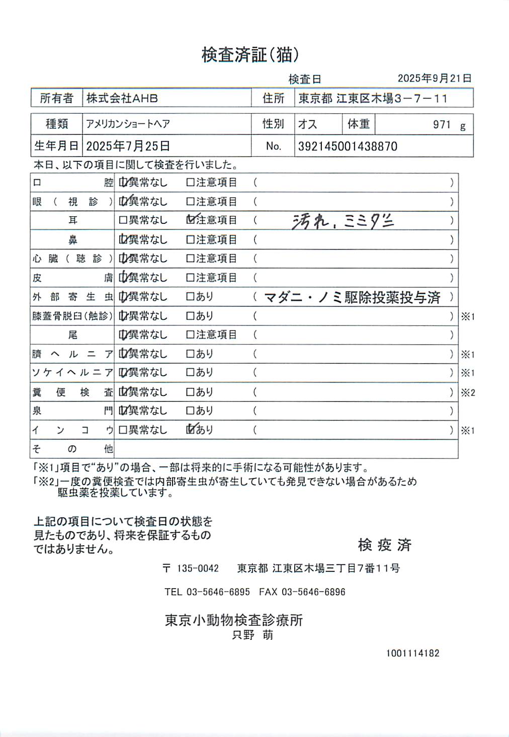 アメリカンショートヘア
