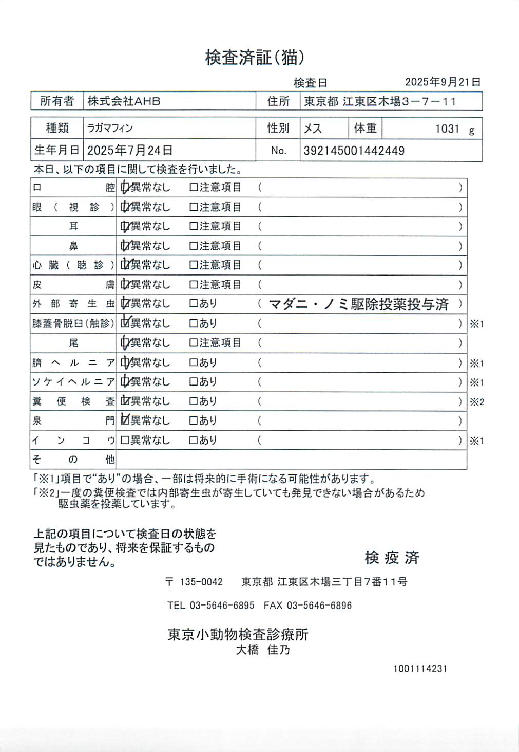 ラガマフィン