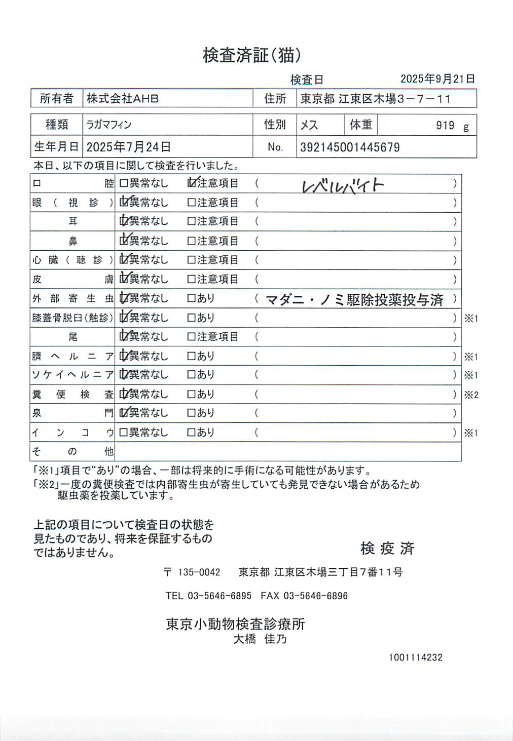 ラガマフィン