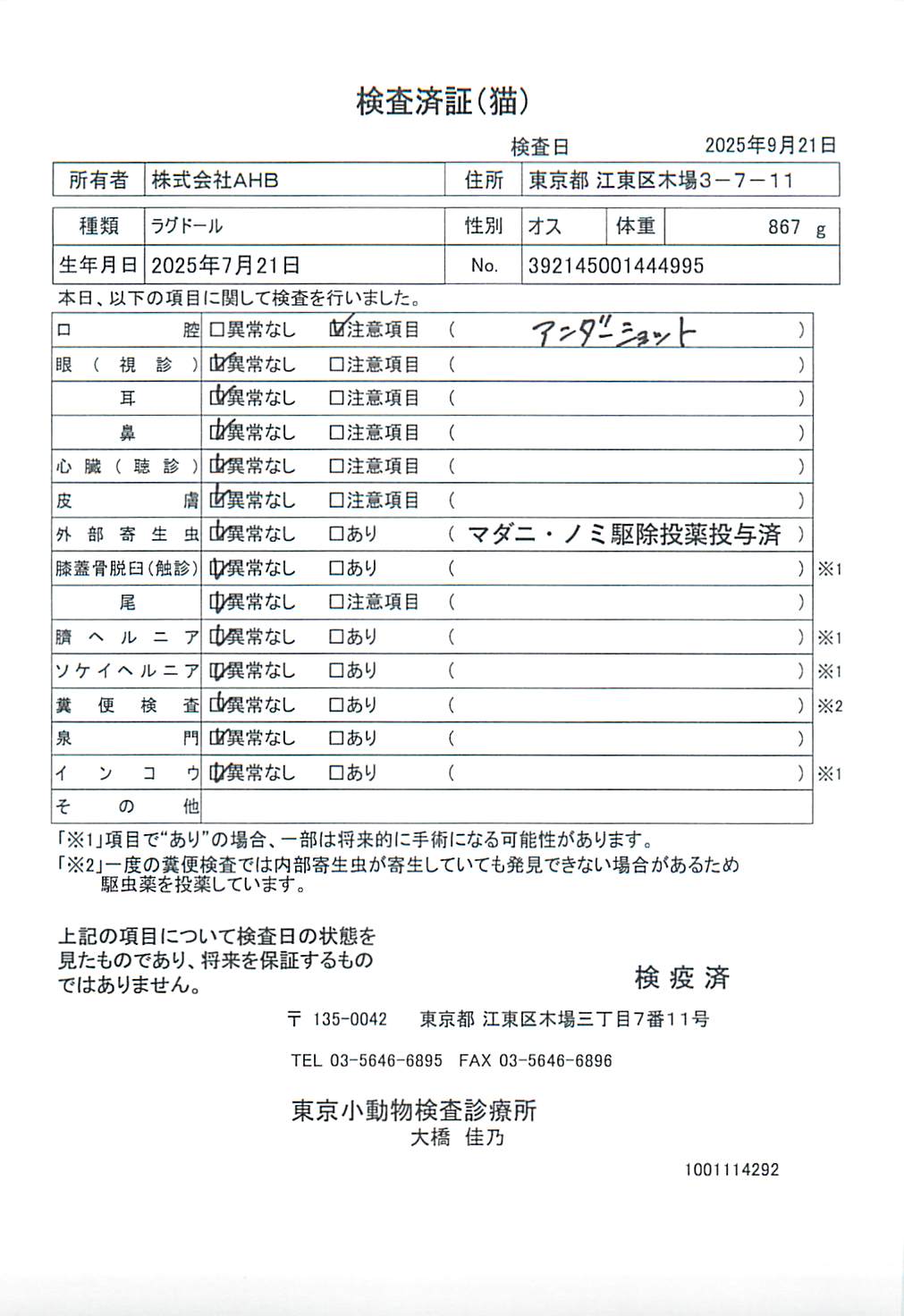 ラグドール