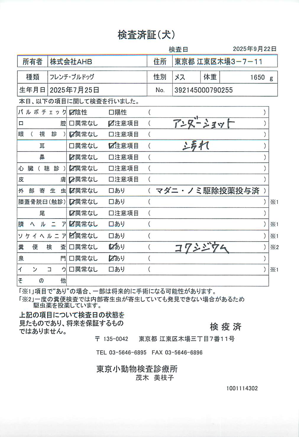 フレンチ・ブルドッグ
