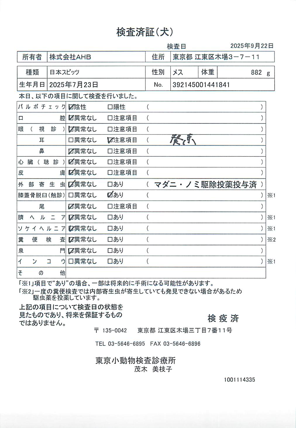 日本スピッツ