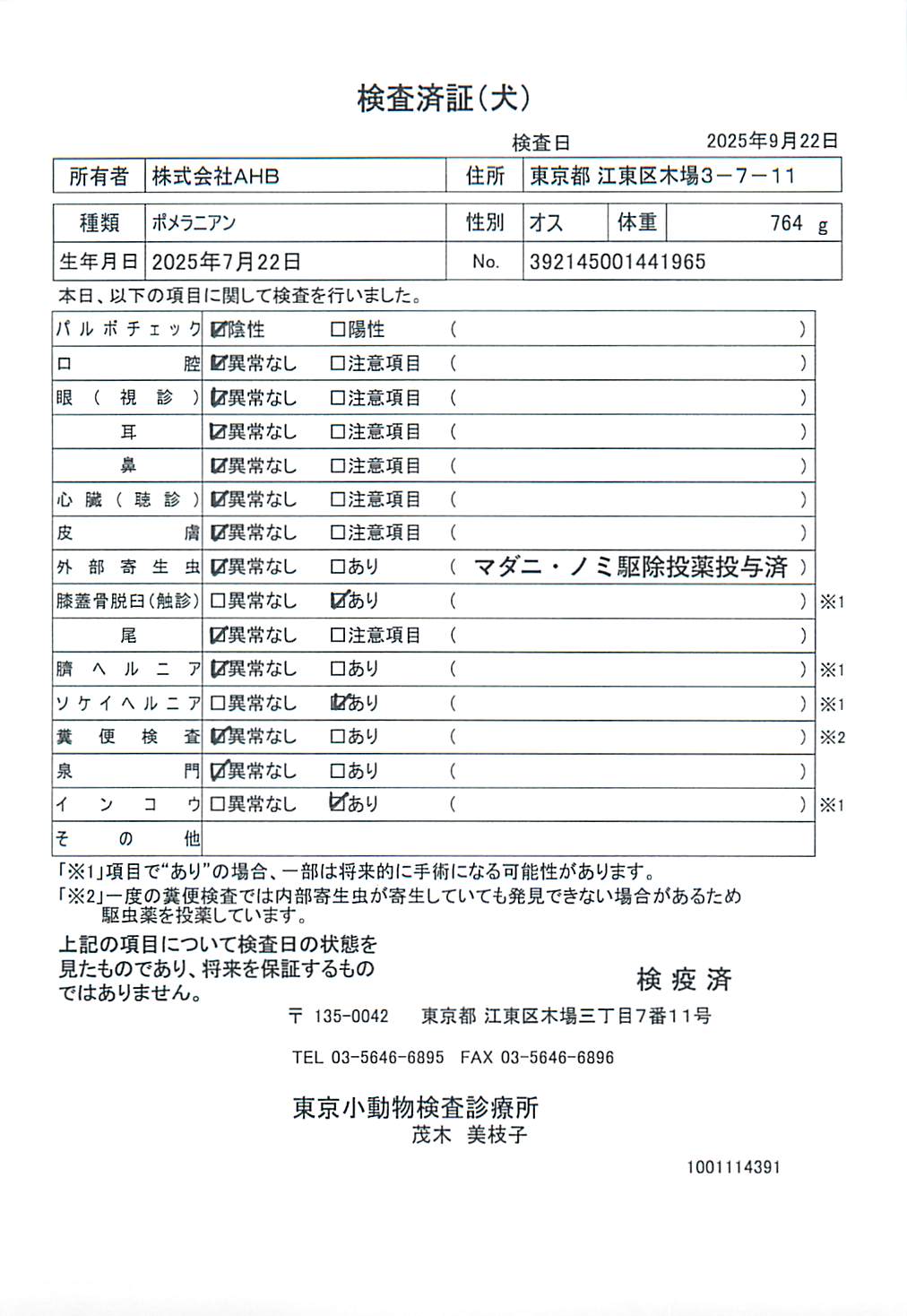 ポメラニアン