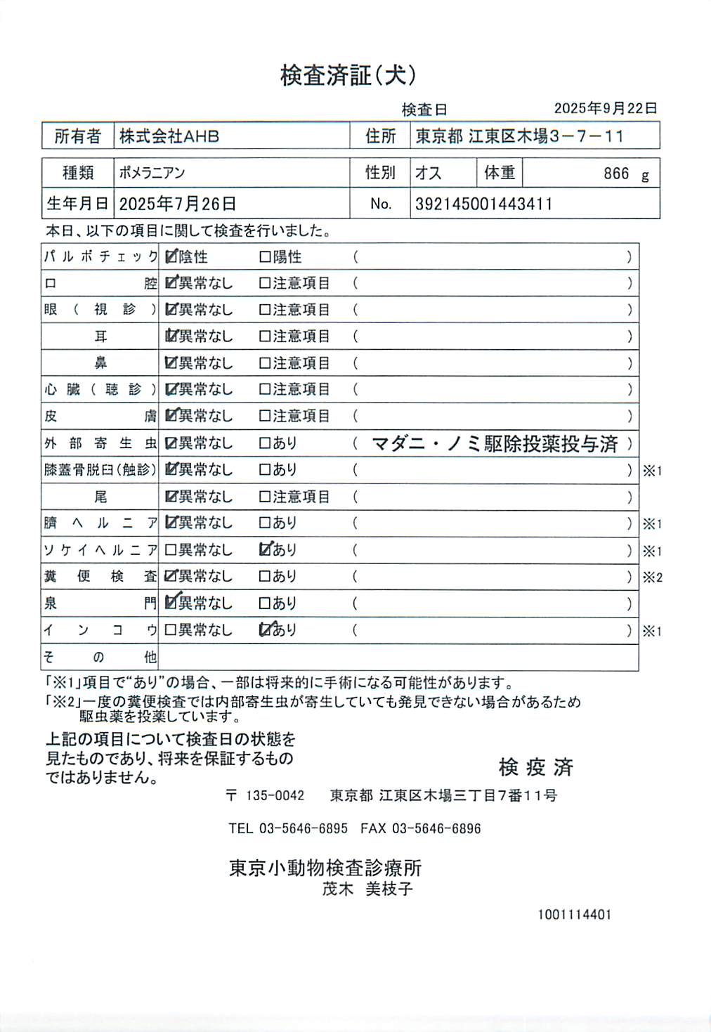 ポメラニアン