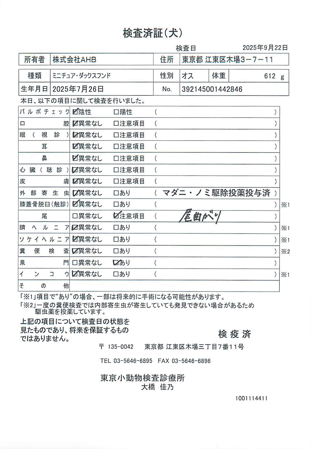 ミニチュア・ダックスフンド