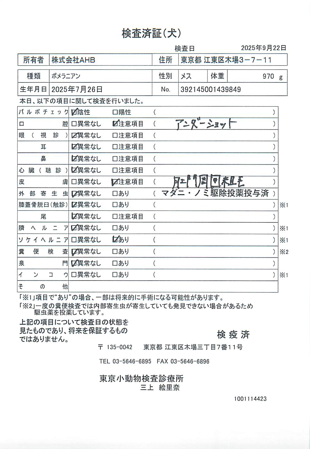 ポメラニアン