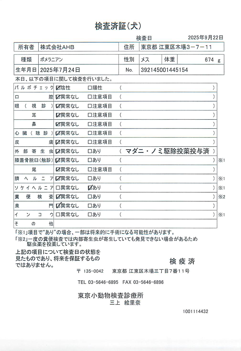 ポメラニアン