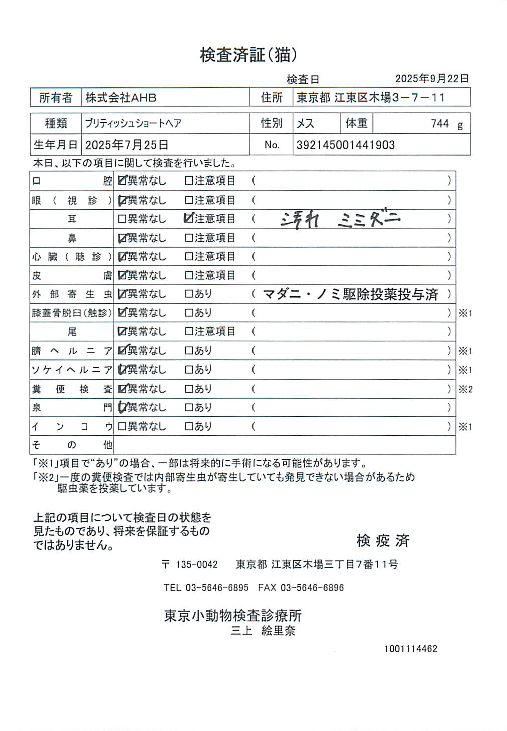 ブリティッシュショートヘア