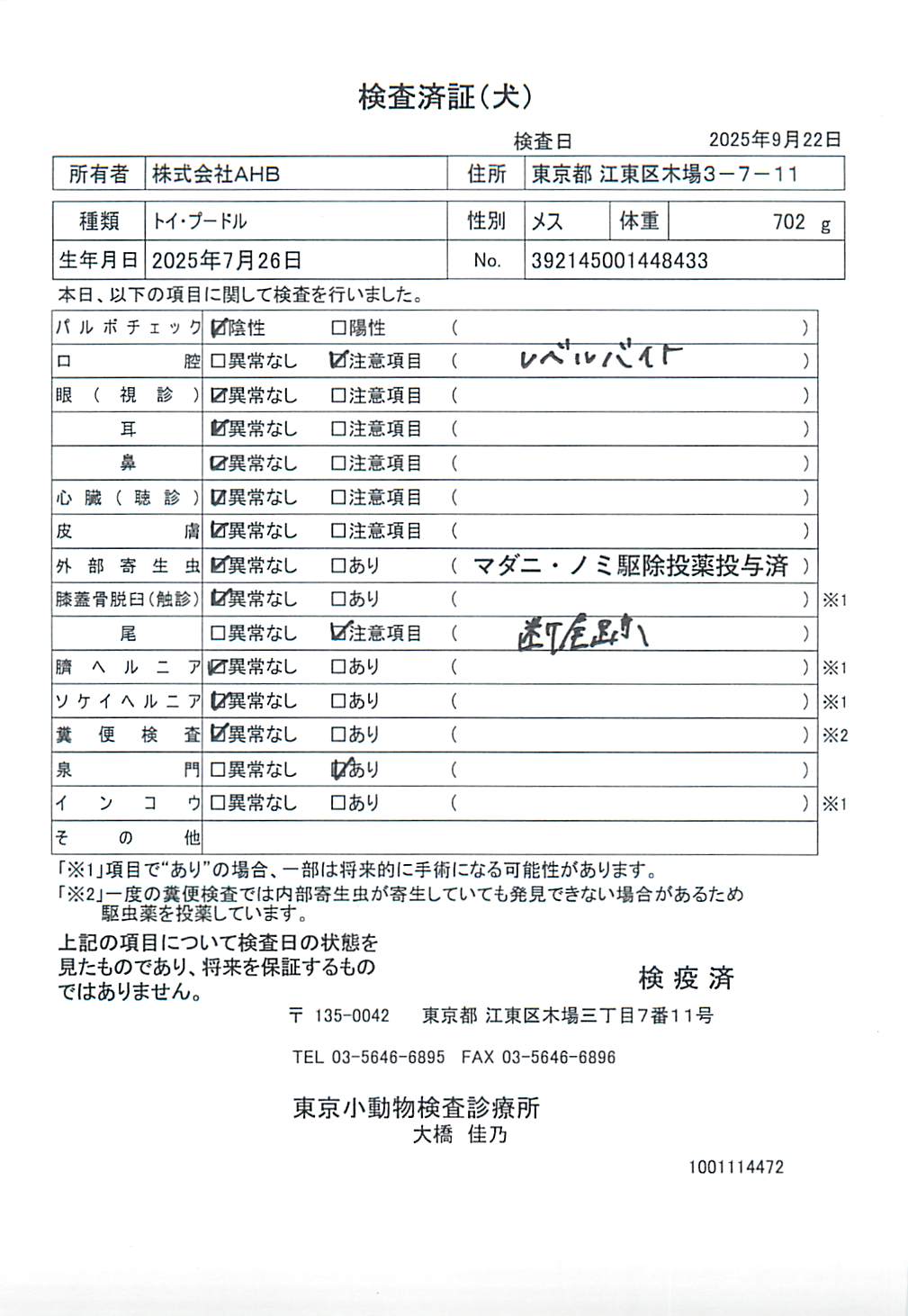 トイ・プードル