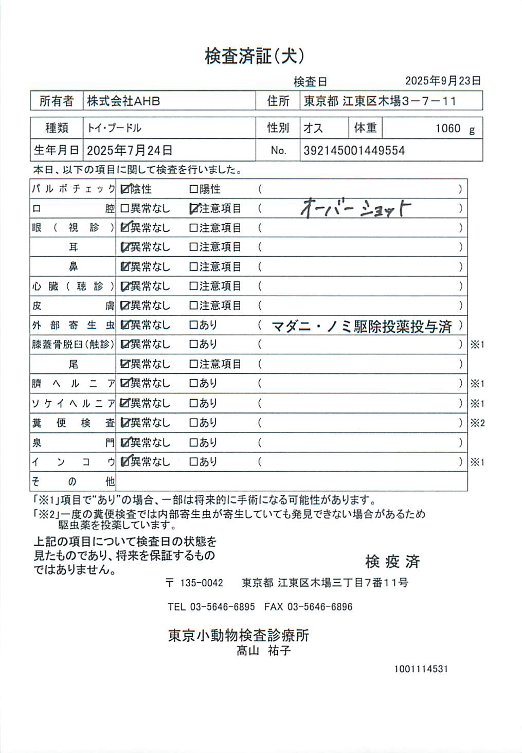 トイ・プードル