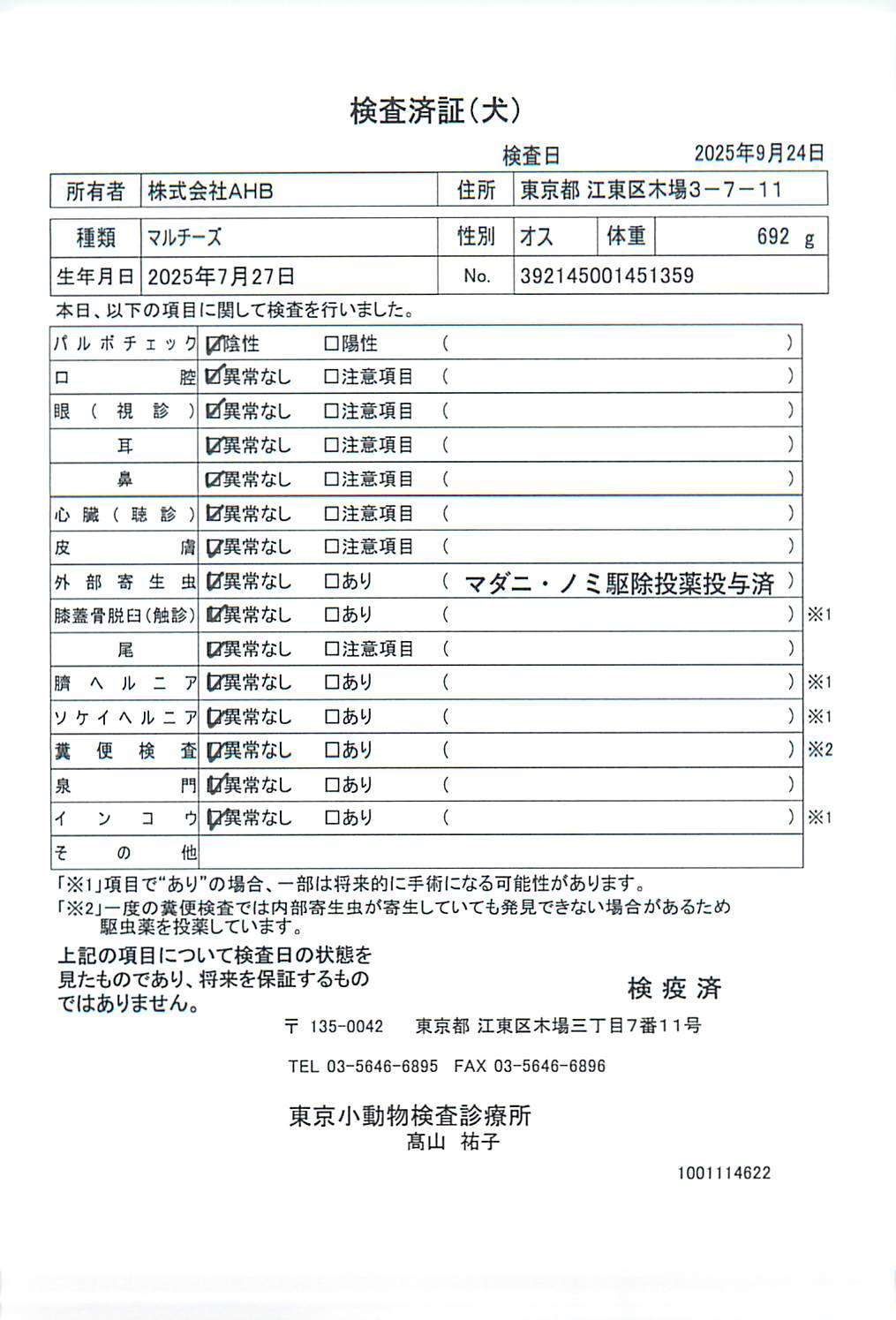 マルチーズ