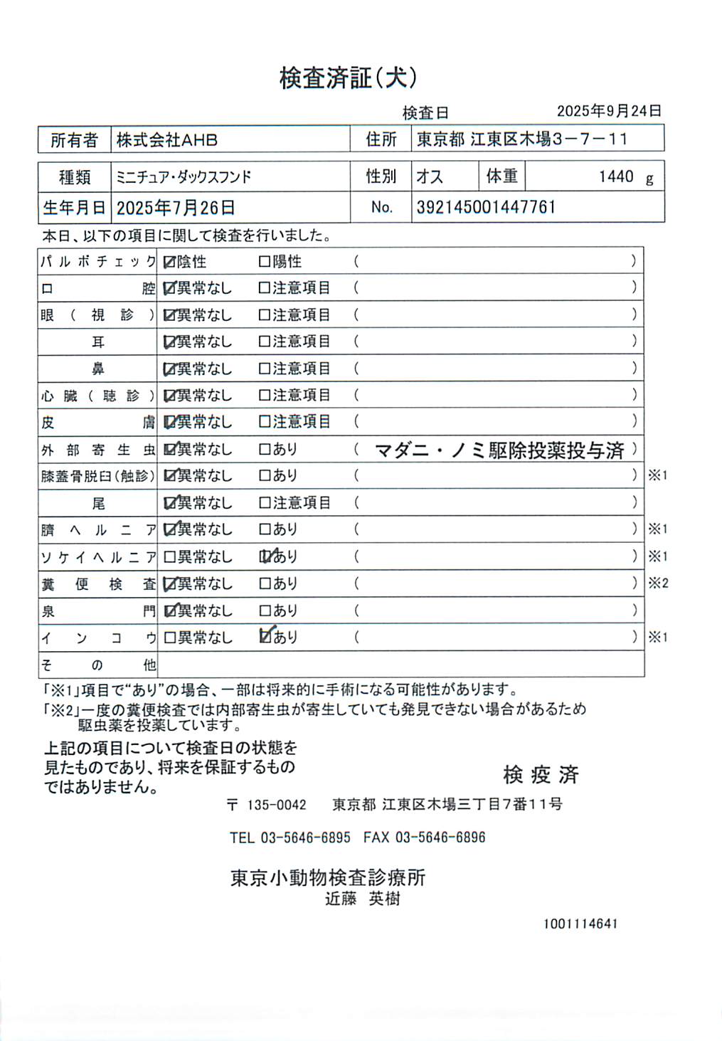 ミニチュア・ダックスフンド