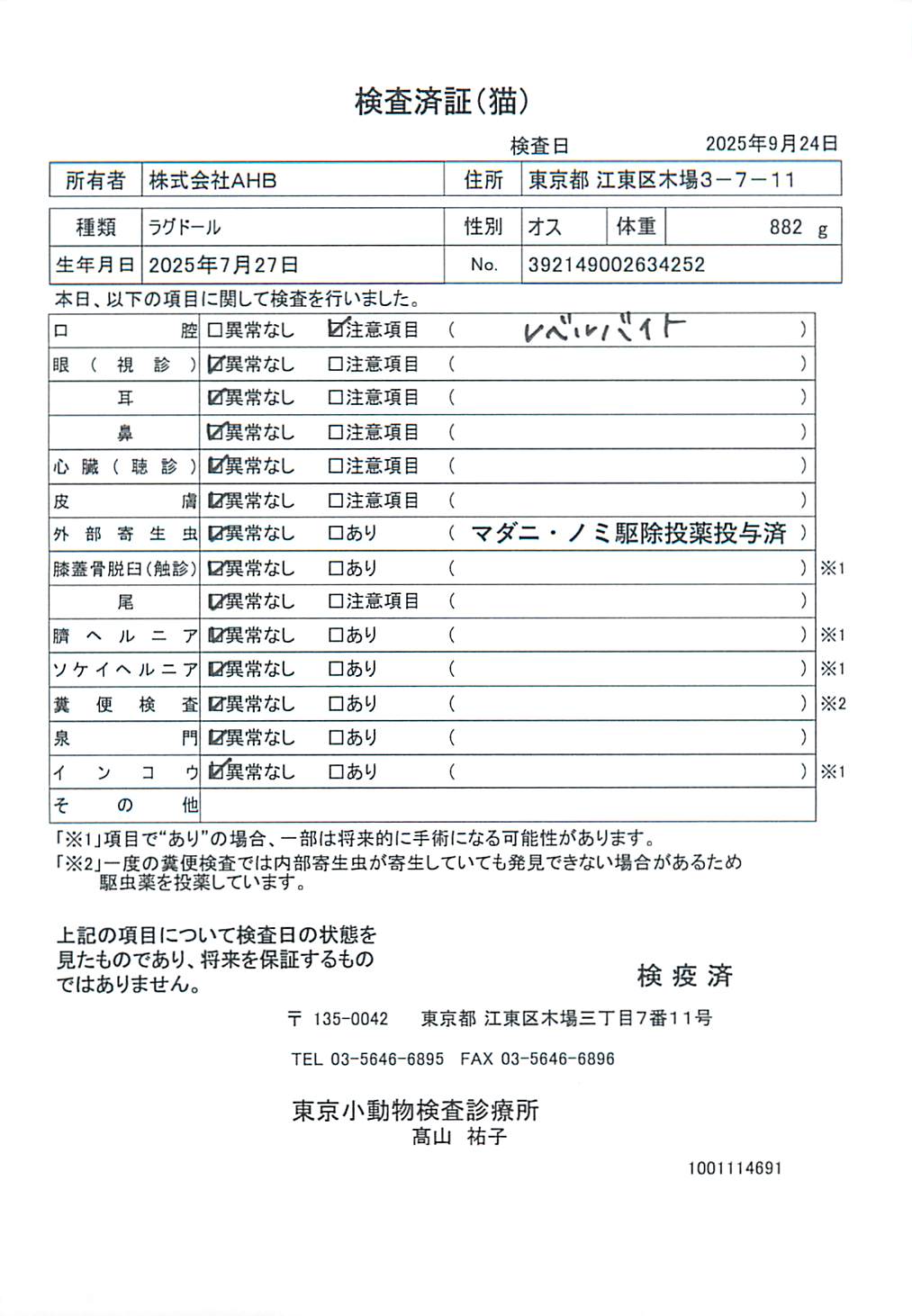 ラグドール