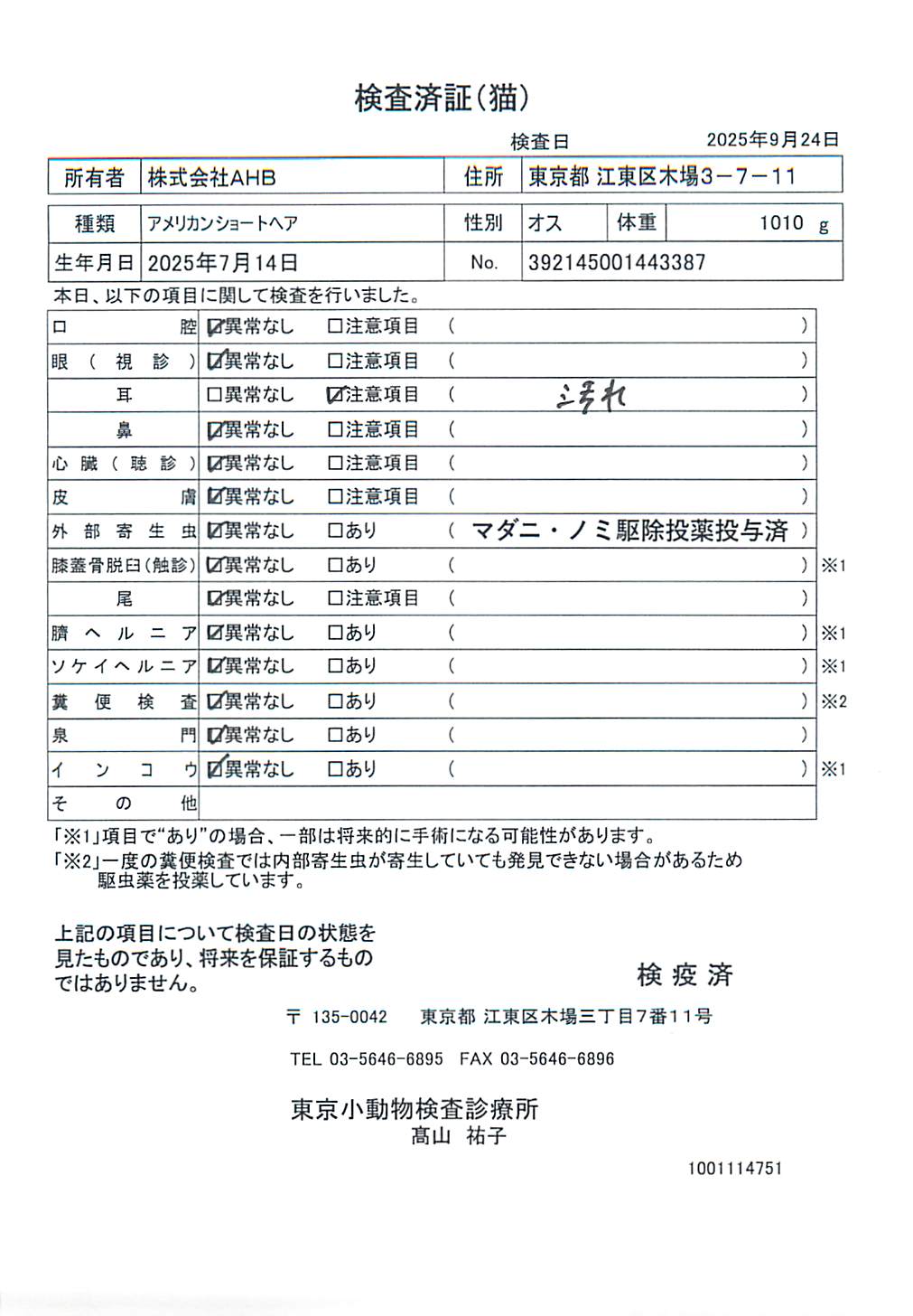 アメリカンショートヘア