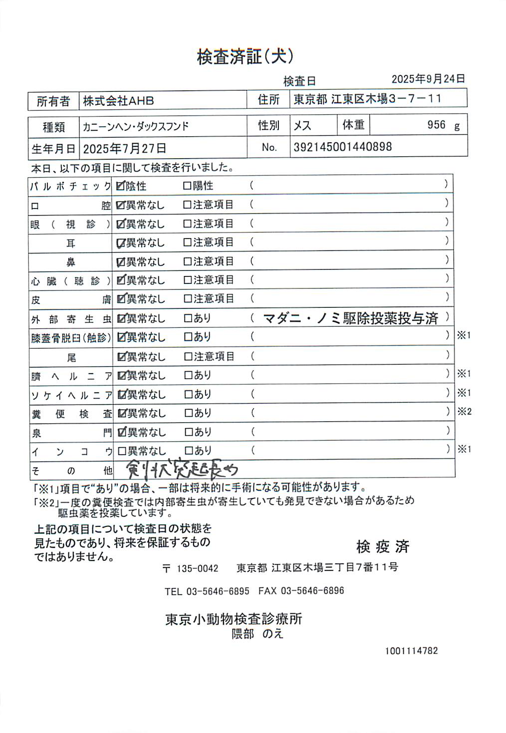 カニーンヘン・ダックスフンド