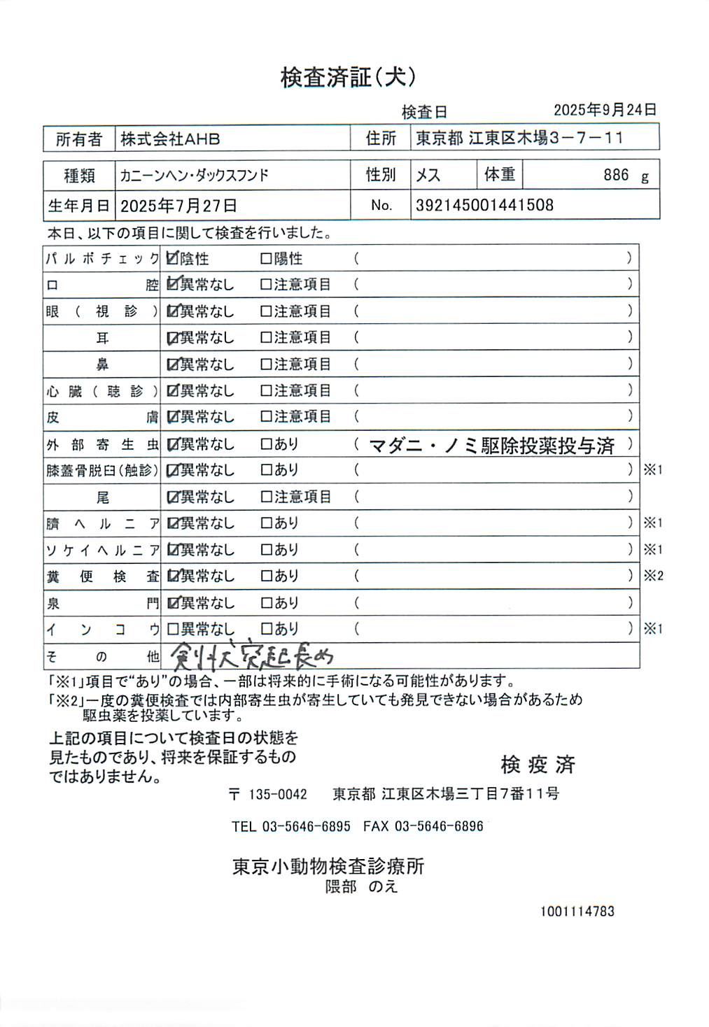 カニーンヘン・ダックスフンド