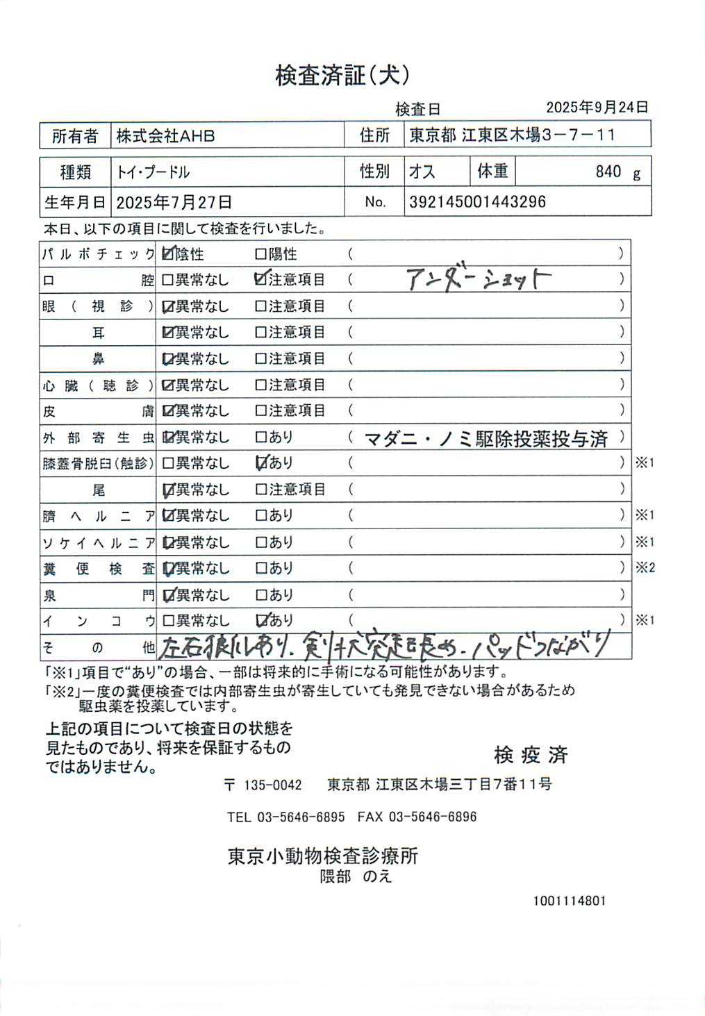 トイ・プードル