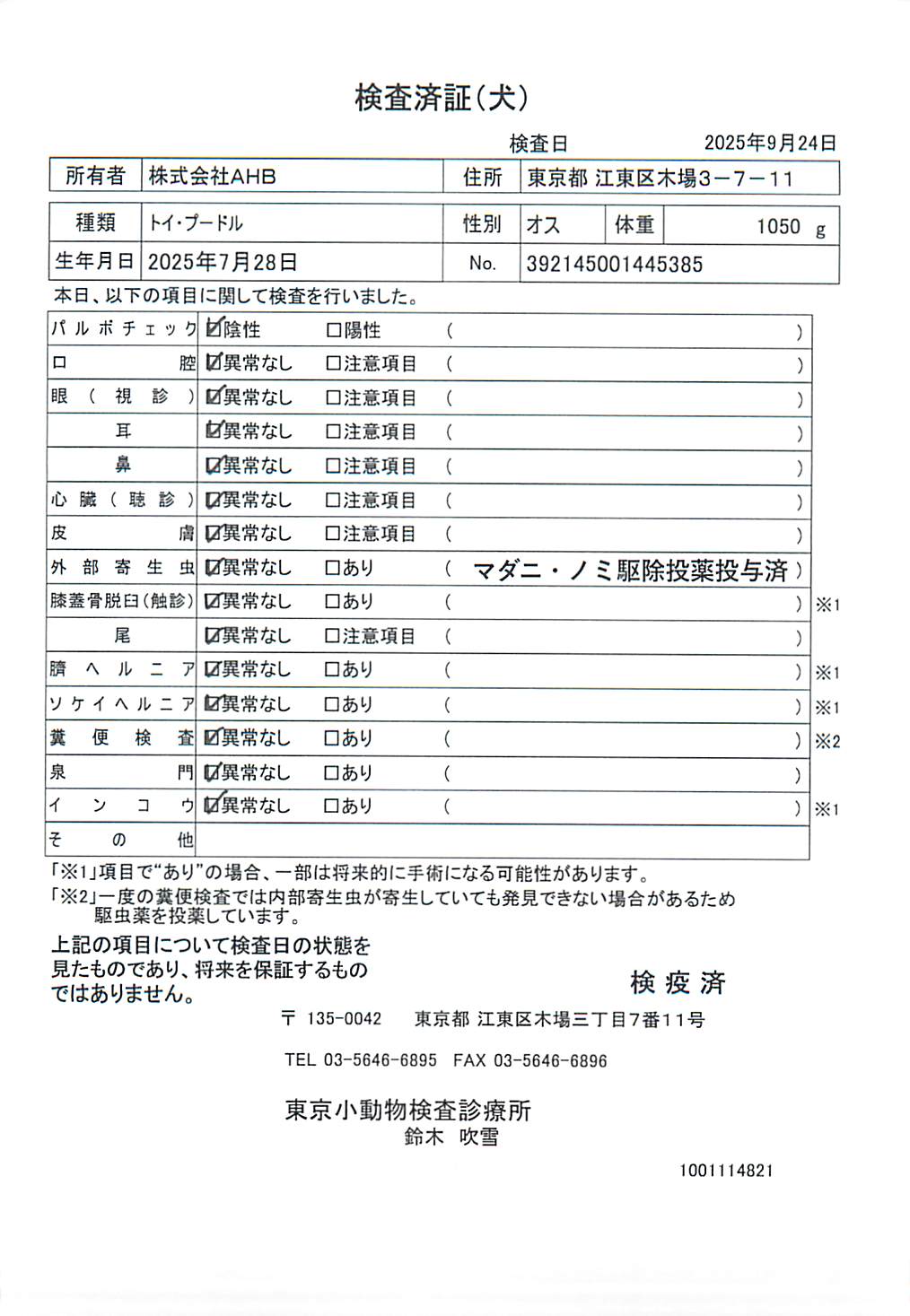 トイ・プードル