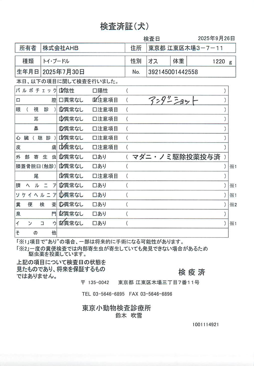 トイ・プードル