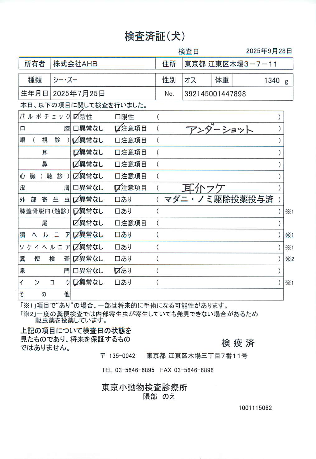 シー・ズー