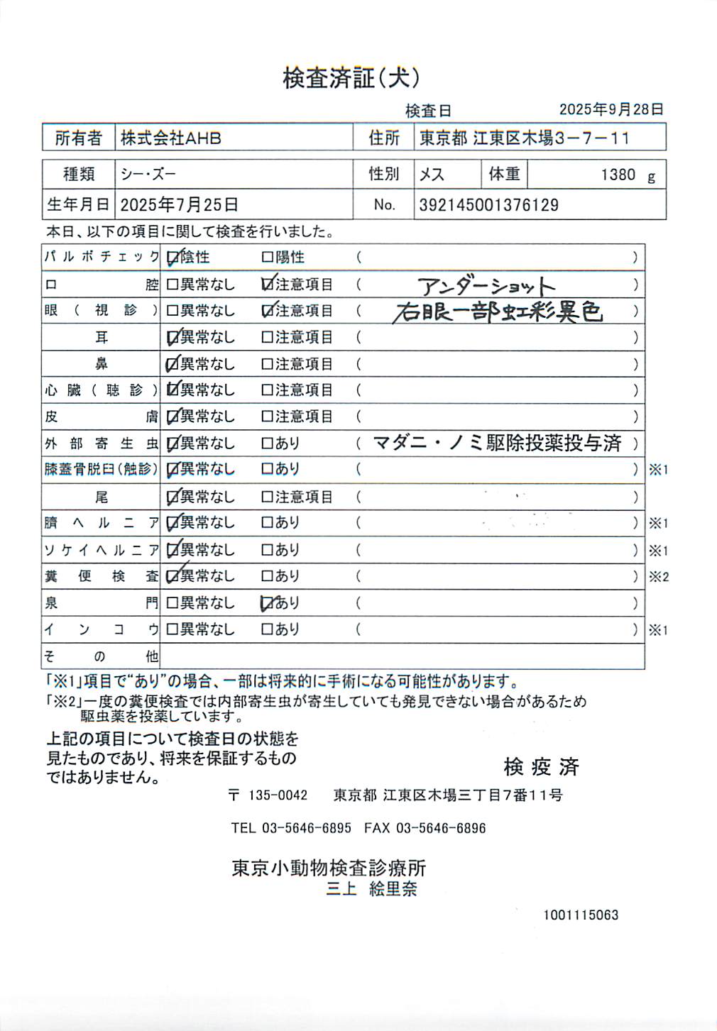 シー・ズー