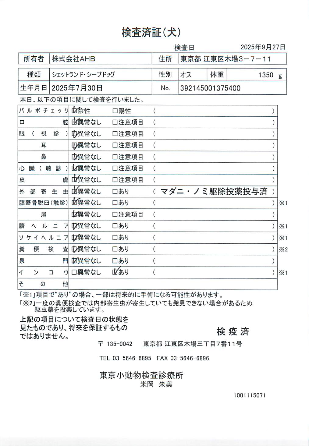 シェットランド・シープドッグ