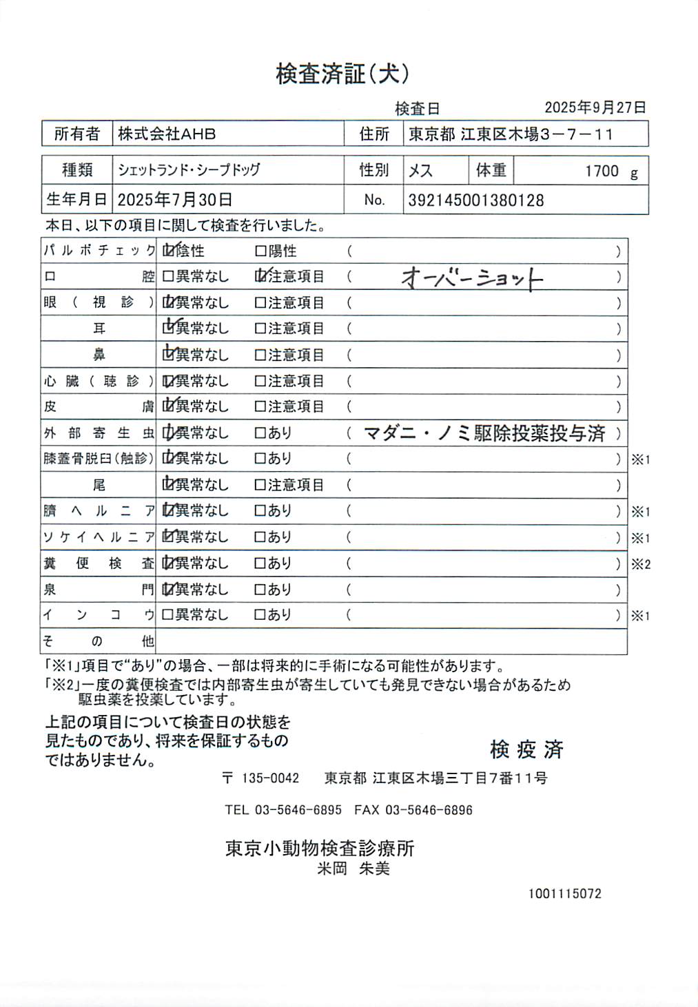 シェットランド・シープドッグ