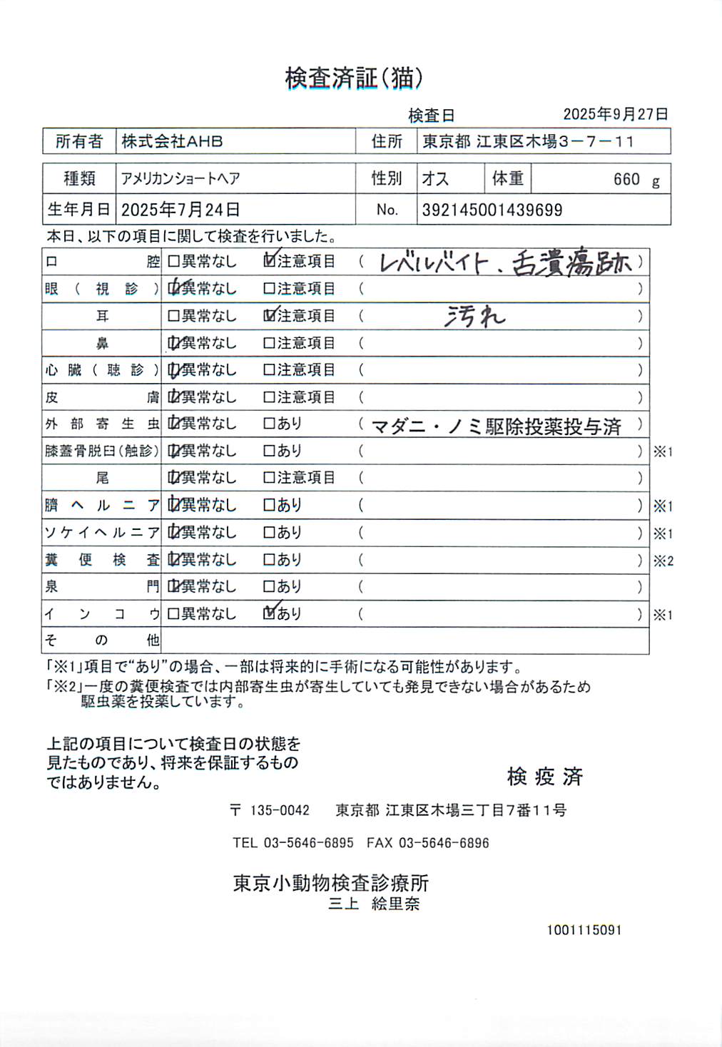 アメリカンショートヘア