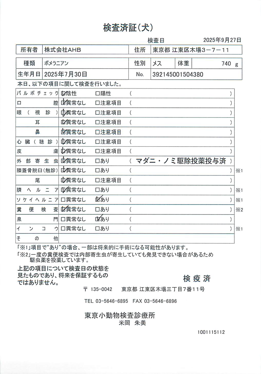 ポメラニアン