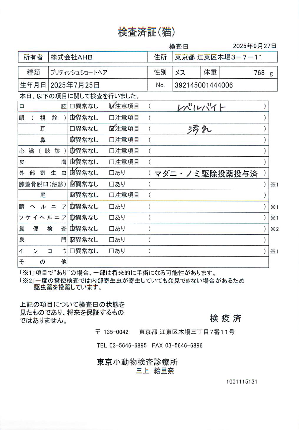 ブリティッシュショートヘア